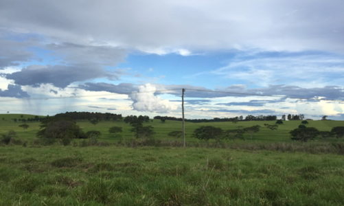 Flugfeld
