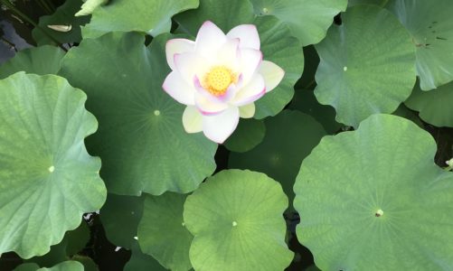 Four laws of spirituality from Hindu philosophy