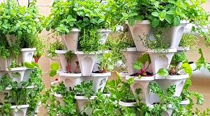 Hydroponics
